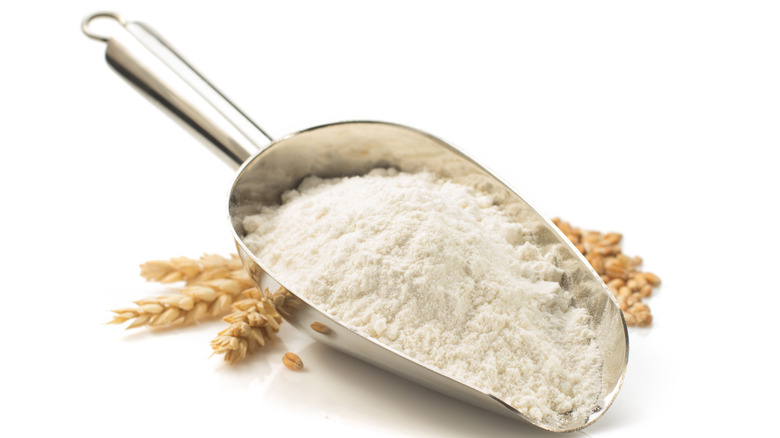 Wheat flour in a scoop