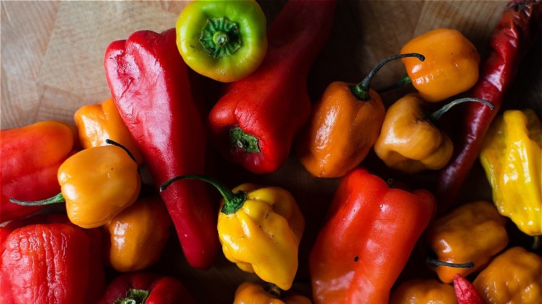 hot pepper chili varieties