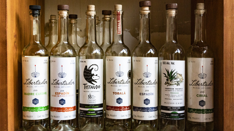 mezcal collection