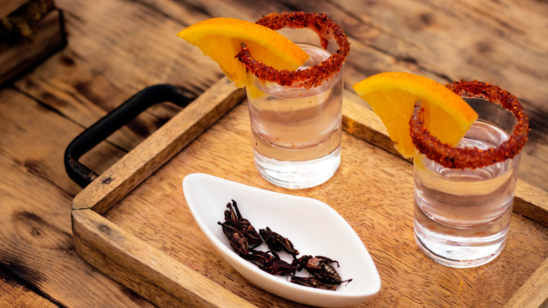 mezcal and grasshoppers