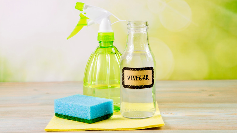 vinegar, spray bottle, and sponge