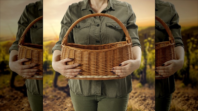 person holding an empty basket