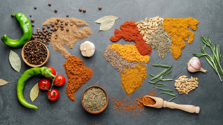 Variety of spices on gray background