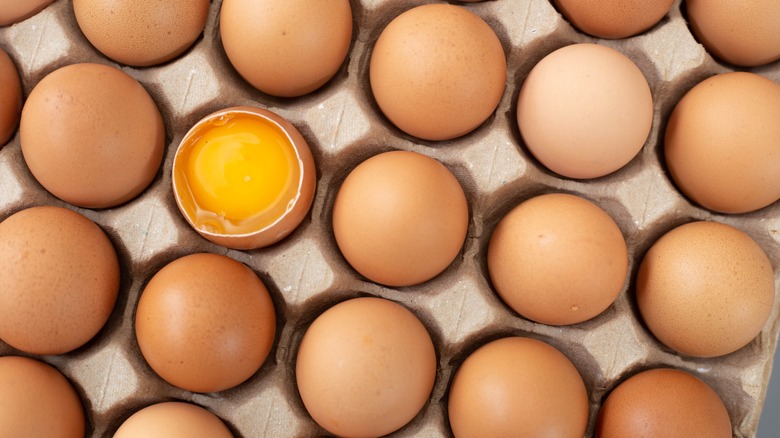 Carton of brown eggs