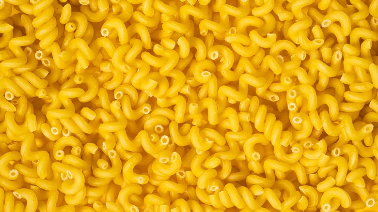 Cavatappi noodles