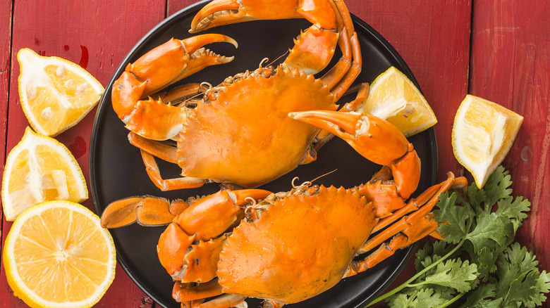 Two crabs on a plate