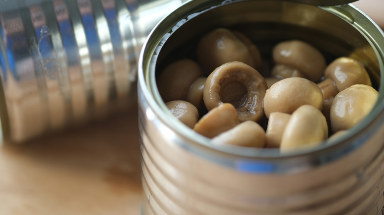 Close-up on an open can of mushrooms