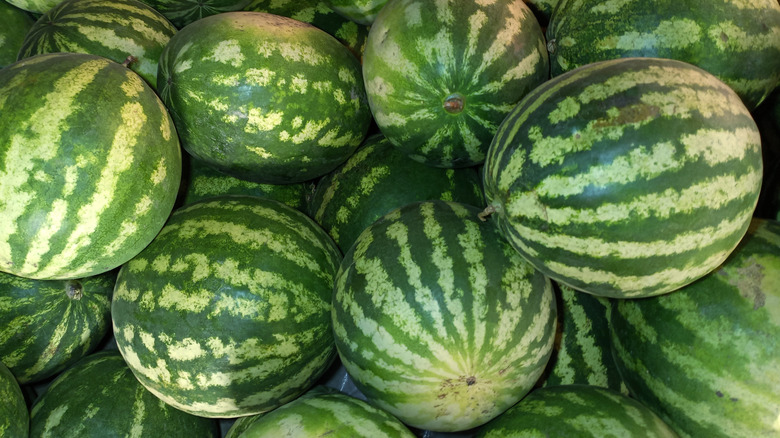 Close-up on a pile of watermelons