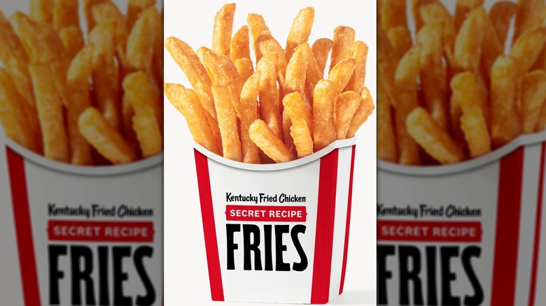 Portion of KFC Secret Recipe Fries