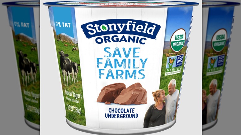 stonyfield chocolate nonfat yogurt