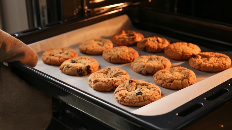 Tray of chocolate chip cookies coming out of the oven