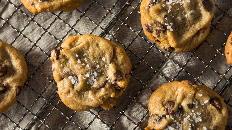 Chocolate chip cookies with sea salt on top
