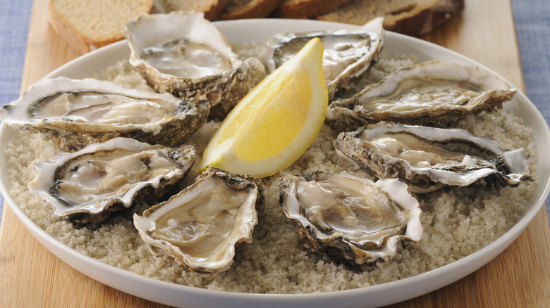 A plate of oysters