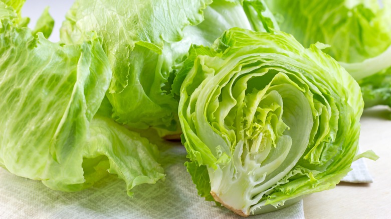 fresh iceberg lettuce