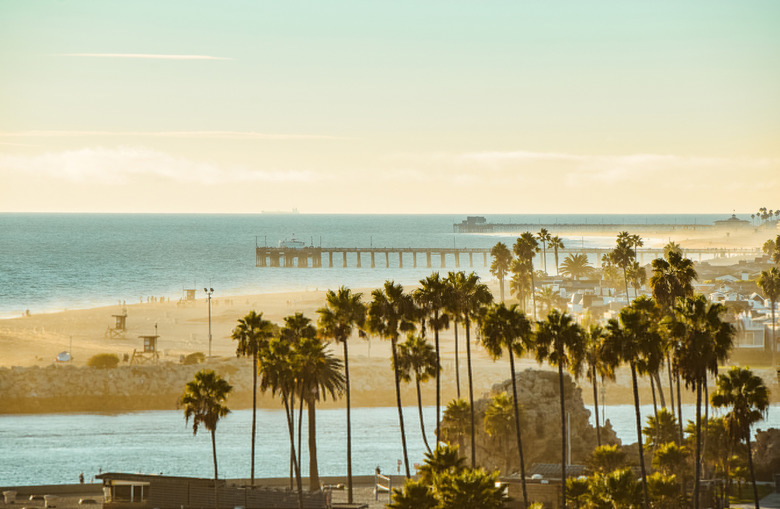 13 Sure Signs You Grew Up in California