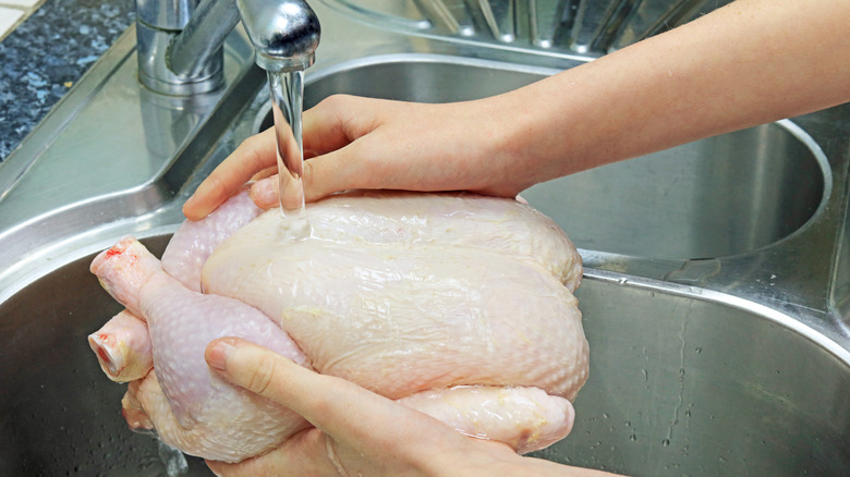 Washing a chicken