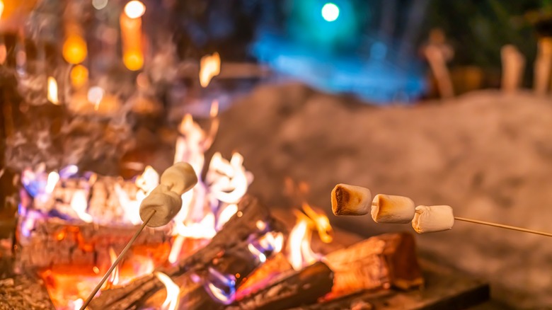 roasting marshmallows over fire