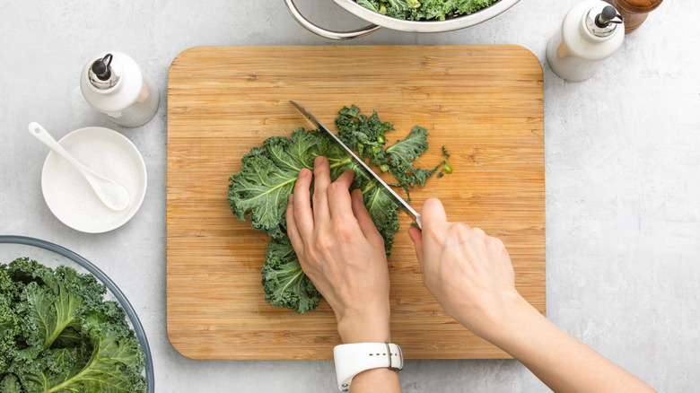 Person cutting kale leaves