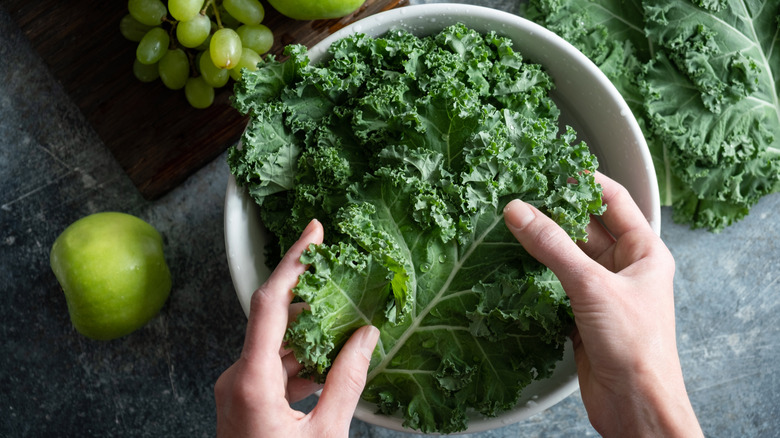 Washing kale in a bowl