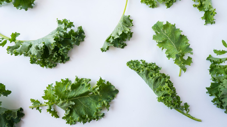 Assorted kale leaves