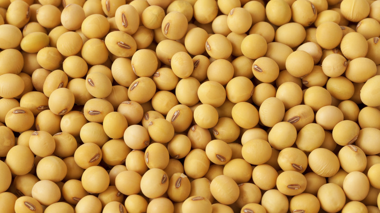close up of round yellow soybeans
