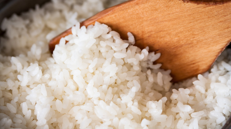 closeup of cooked rice