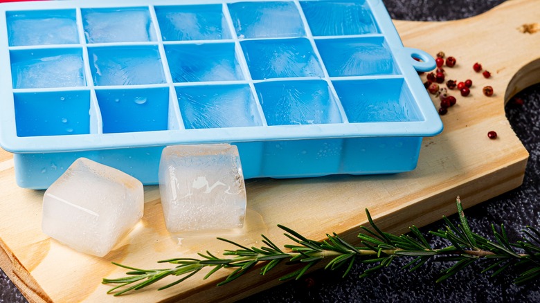 Ice cube tray with frozen water cubes