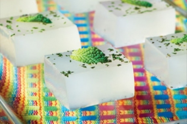 Mojito Jelly Shots