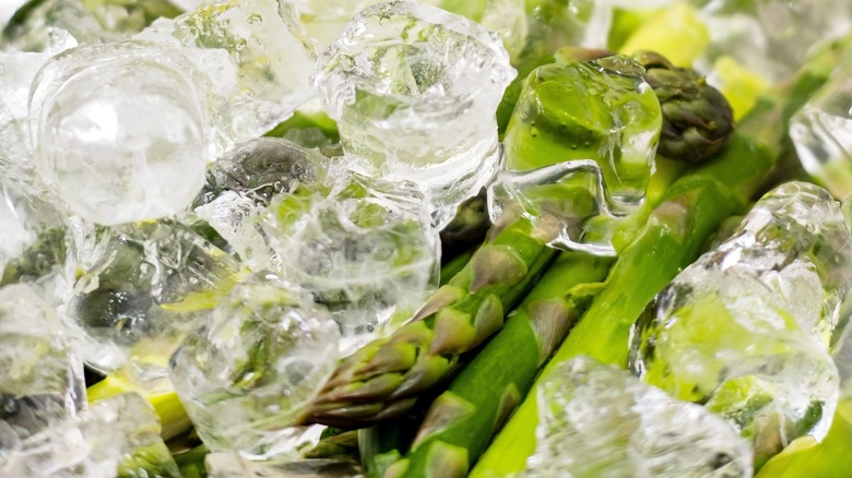 Asparagus on ice