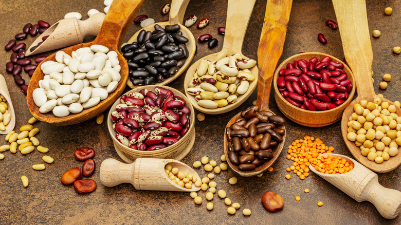 Bean varieties in different containers