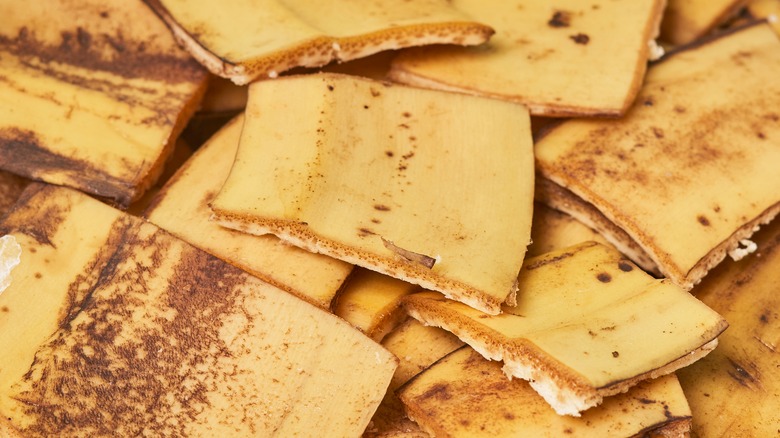 slices of banana peels