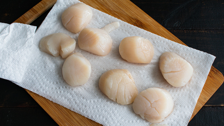 Scallops on paper towel