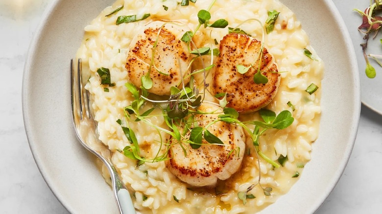 Risotto with scallops