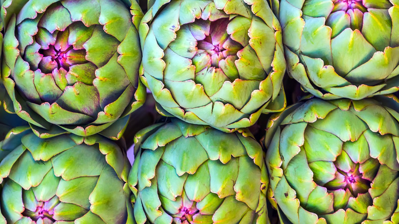 six artichokes in a row