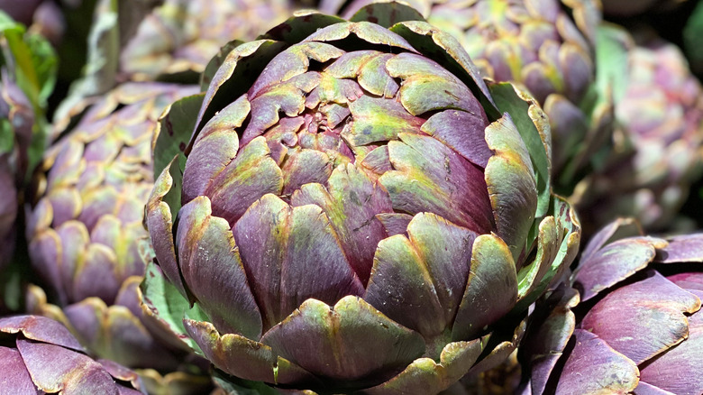 colorful artichokes in a pile