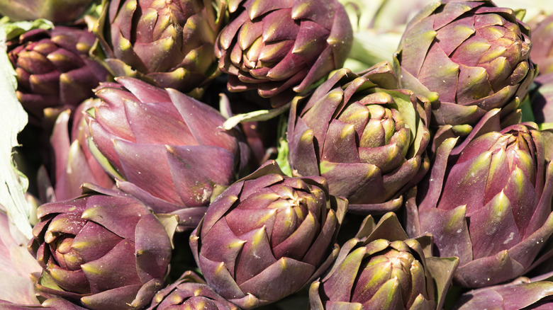 purple artichokes in a bunch