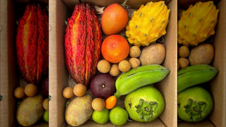 Miami Fruit delivery box