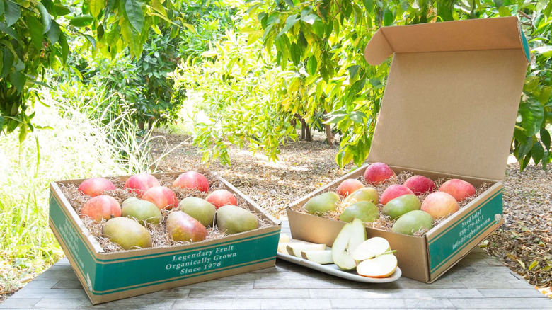 Frog Hollow Farm fruit box