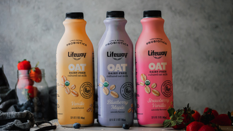 variety of Lifeway oat milks