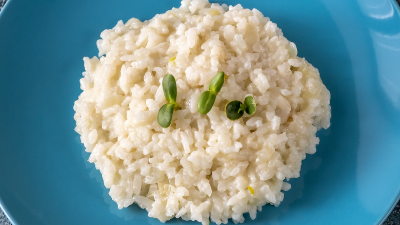 plain risotto in blue bowl