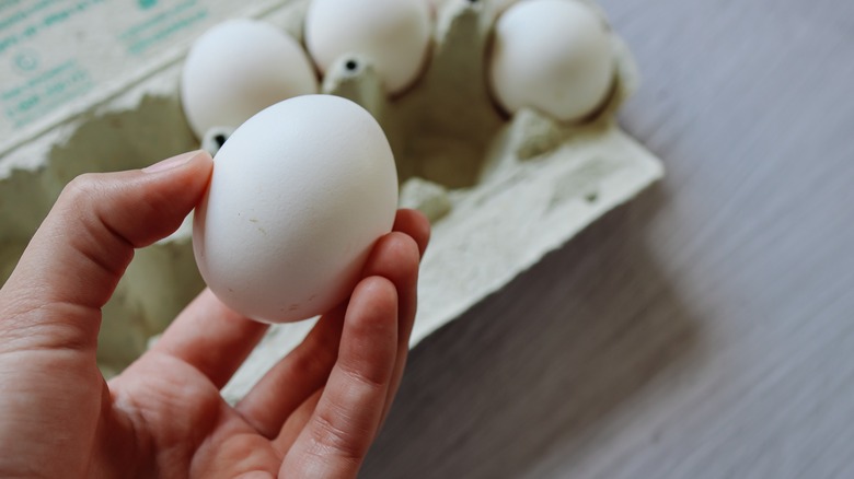 Person holding egg