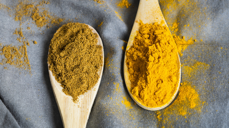 Curry spices in wooden spoons