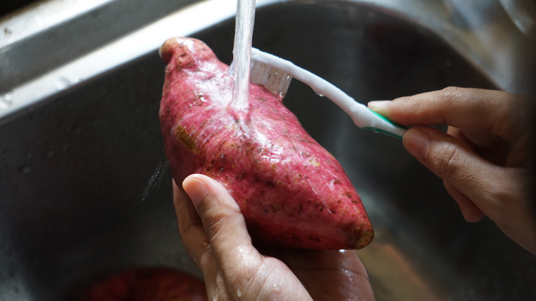 person washing sweet potato