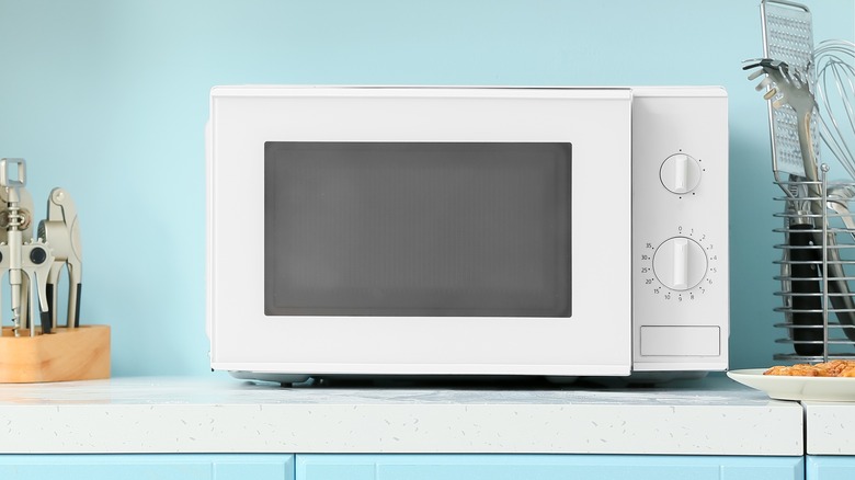 white microwave in blue kitchen