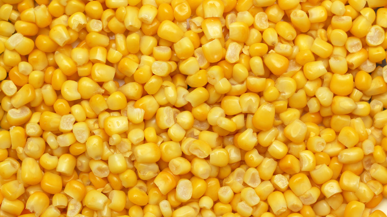 sweetcorn kernels close up