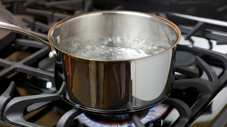 water boiling in pot