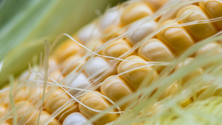 White and yellow corn