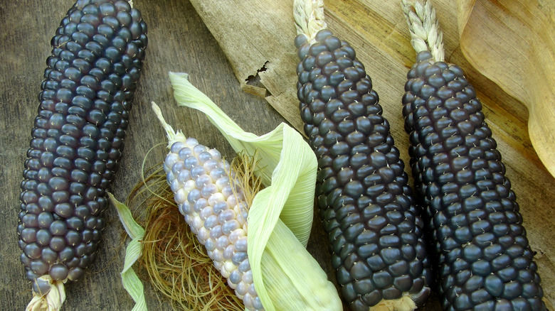 Four jagung ketan hitam