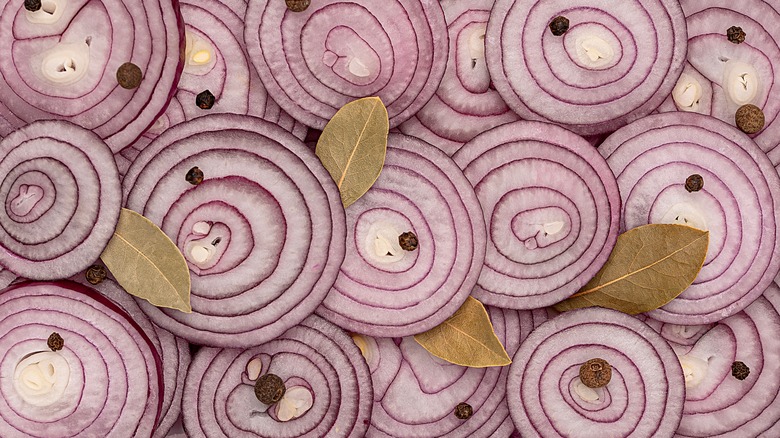 sliced onions with marinade seasonings