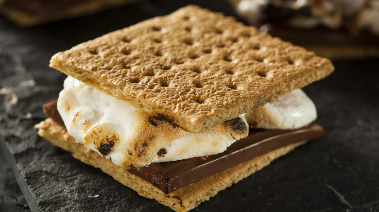 Close up of a s'more